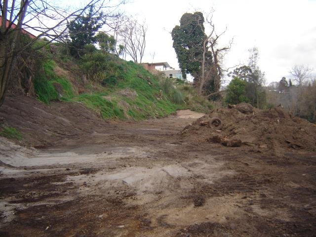 LSP- the beginning, 2008-11 Cambridge Tree Trust